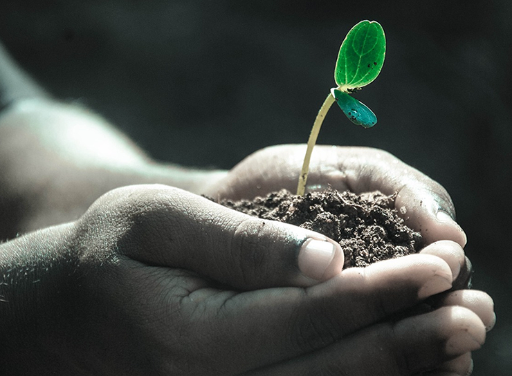 Life & Actuary Consulting